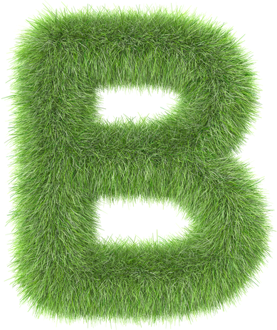 3d grass letter B