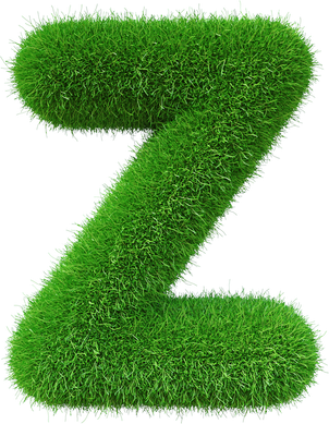 Grass font  Z letter Green