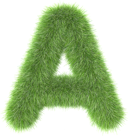 3d grass letter A