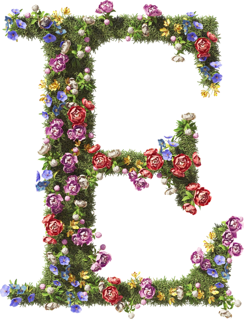 3D Flower Letter E. Vintage Garden Floral and Plants Font Serif on Transparent Background